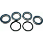 Κιτ ρουλεμάν τροχού MOOSE RACING BEARING KIT Wheel Suzuki LT-R 450 06-11 thumb